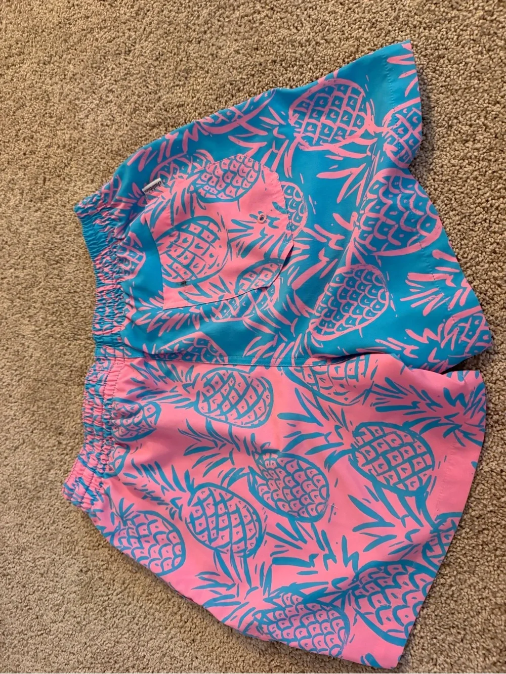 Chubbies pink and blue swim suit